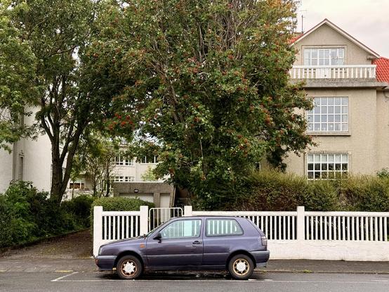 A Mk3 Golf in purple color parked in front of a house with a big tree