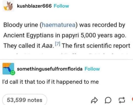 kushblazer666: Bloody urine (haematurea) was recorded by Ancient Egyptians in papyri 5,000 years ago. They called it aaa The first scientific report
somethingusefulfromflorida Follow I'd call it that too if it happened to to me