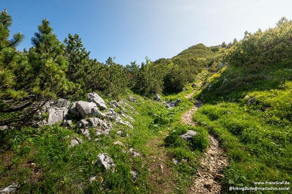 A trail winds its way through a lush, grassy area, with the vibrant green vegetation creating a serene natural landscape. The sky above is a clear, brilliant blue, dotted with fluffy white clouds. Trees line the path, providing shade and a sense of tranquility. A rock juts out from the grass, adding a touch of ruggedness to the otherwise peaceful scene. In the distance, a rocky hillside is covered with more trees and bushes, blending seamlessly with the surrounding wilderness. This idyllic sett…