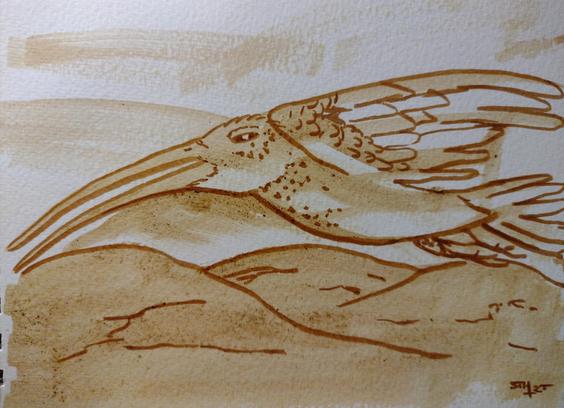Tekening van een vogel die boven heuvels vliegt. Getekend met bruine brush pen die de lijnen en vormen volgt van de ondergrond in inkt.