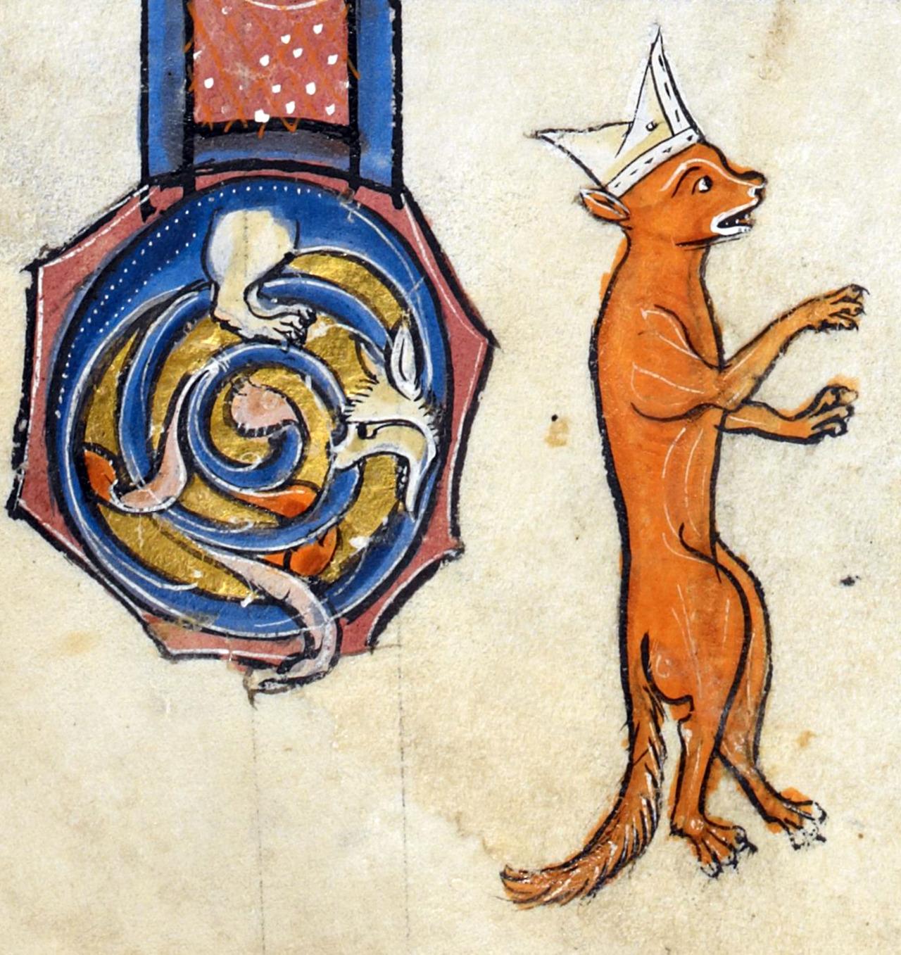 Bishop #fox. ‘The Rutland Psalter’, England ca. 1260. BL, Add 62925, fol. 98v.
#medieval #MedievalArt