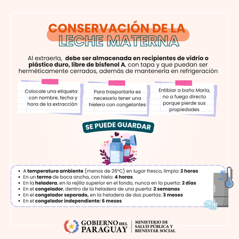CONSERVACIÓN DE LA LECHE MATERNA
Al extraerla, debe ser almacenada en recipientes de vidrio o plástico duro, libre de bisfenol A, con tapa y que puedan ser heméticamente cerrados, además de mantenerla en refrigeración.
Colocale una etiqueta con nombre, fecha y hora de la extracción.
Para trasportarla es necesario tener una hielera con congelantes.
Entibiar a baño María, no a fuego directo porque pierde sus propiedades.
Se puede guardar:
A temperatura ambiente (menos de 26º C) en lugar fresco, limpio: 2 horas.
En un termo de boca ancha, con hielo: 4 horas.
En la heladera, en la rejilla superior en el fondo, nunca en la puerta: 2 días.
En el congelador, dentro de la heladera de una puerta: 2 semanas.
En el congelador separado, en la heladera de dos puertas: 3 meses.
En el congelador independiente: 6 meses.