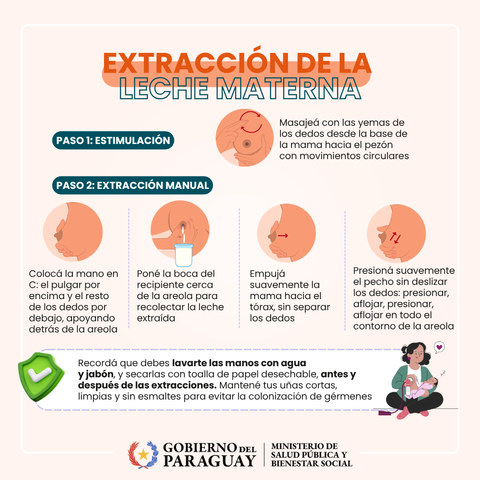 Paso 1: ESTIMULACIÓN. Masajeá con las yemas de los dedos desde la base de la mama hacia el pezón con movimientos circulares.
Paso 2: EXTRACCIÓN MANUAL.
Colocá la mano en C: el pulgar por encima y el resto de los deods por debajo, apoyando detrás de la areola.
Poné la boca del recipiente cerca de la areola para recolectar la leche extraída.
Empujá suavemente la mama hacia el tórax, sin separar los dedos.
Presioná suavemente el pecho sin deslizar los dedos: presionar, aflorar en todo el contorno de la areola.
Recordá que debes lavarte las manos con agua y jabón, y secarlas con toalla de papel desechable, antes y después de las extracciones. Mantené tus uñas cortas, limpias y sin esmaltes para evitar la colonización de gérmenes.