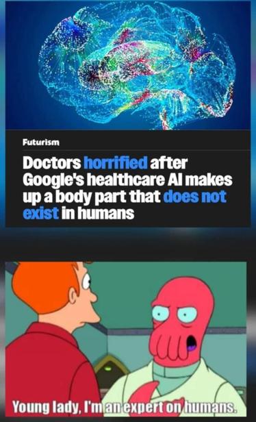 Doctors horrified after Google's healthcare AI makes up a body part that does not exist in humans

[pic of Fry and Zoidburg saying 'young lady, I'm an expert on humans.']