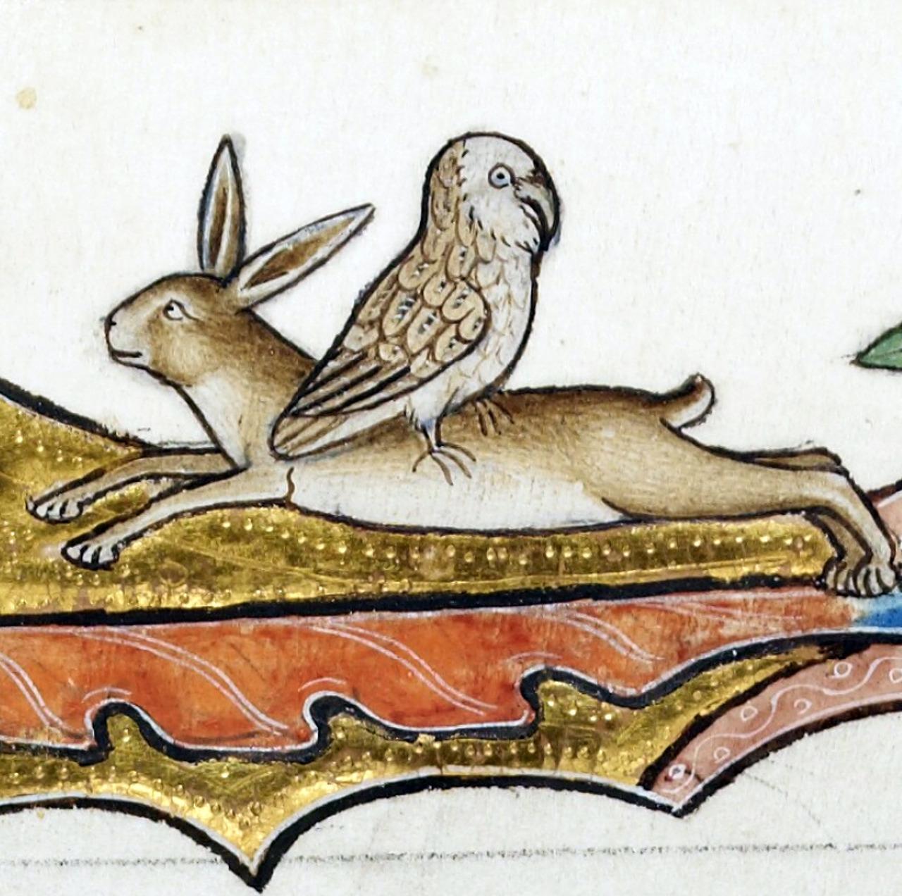 Hareriding owl. ‘Ormesby Psalter’, England ca. 1310. Bodleian Library, MS. Douce 366, fol. 147v.
#medieval #MedievalArt