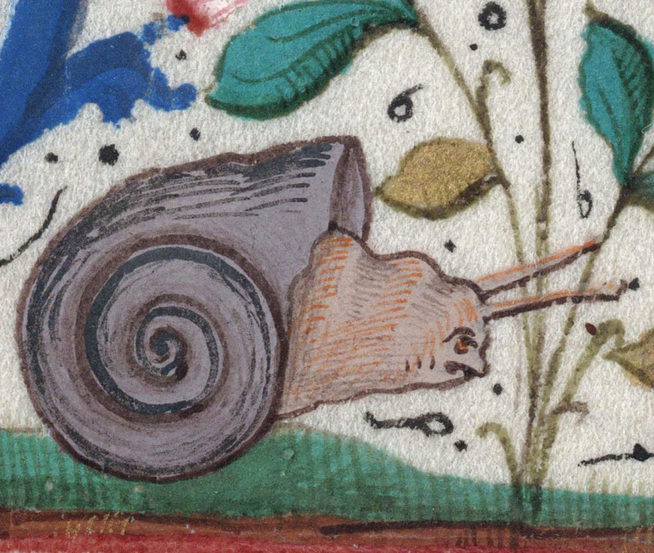 Depressed snail, sad frog. Institutes of Justinian, France 15th century. Montpellier, Bibliothèque interuniversitaire. Section Médecine, H 418, fol. 23v.
#medieval #MedievalArt