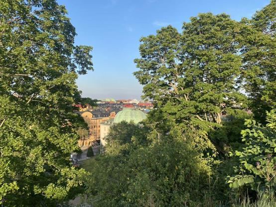 A view of the city through some trees 