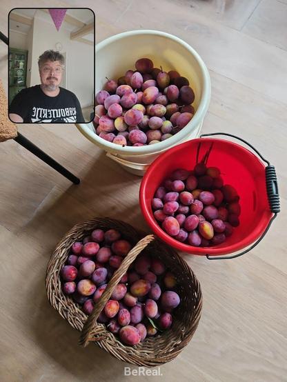 Twee emmers en een mand vol pruimen