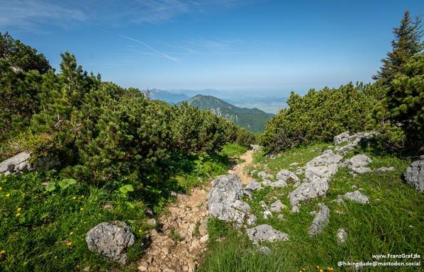 A serene scene of a rocky path winding its way through a lush landscape filled with bushes and tall trees. The path is surrounded by vibrant green vegetation, creating a peaceful and natural setting. The sky above is a clear blue with fluffy white clouds, adding to the picturesque view. In the distance, a mountain range can be seen, blending seamlessly with the forested surroundings. The rocky terrain adds texture to the landscape, with a large rock situated in the grassy area. This image captu…