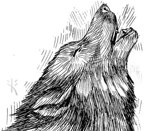 Black and white ink pen drawing of a howling wolf by Kmac