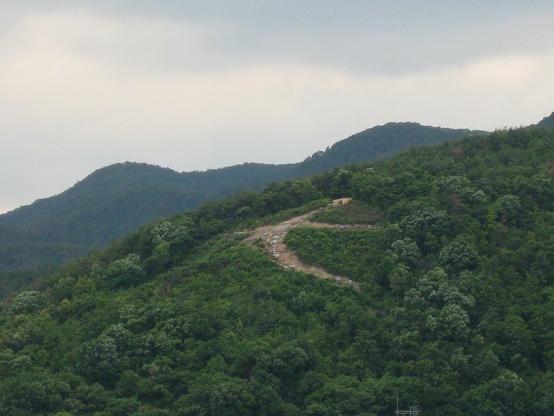 Hidari Daimonji during the summer, the shape clearly visible amongst the lush vegetation.