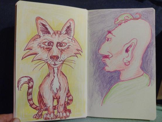 Schetsboek met twee cartoonachtige tekeningen. Een van een vosachtig fantasiedier en een van een kale man met een kameleon op zijn hoofd.