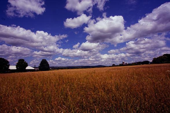 A grass field with silos in the distance,  a thin line of wodded hills, and a dramatic cumulus cloud sky