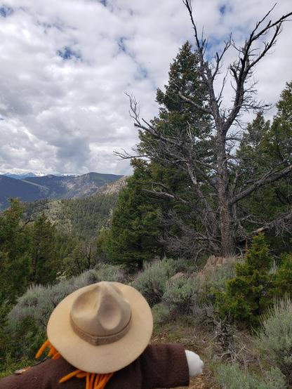 Ranger Sarah starts her decent off the ridge she has been hiking along the Greer Gulch Loop Trail.
— at Lewis & Clark C