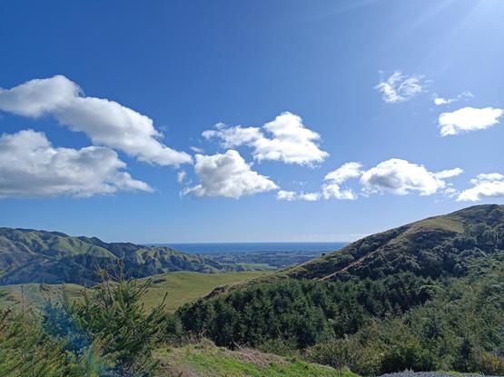 Tasman Sea in the distance beyond green hills. 
