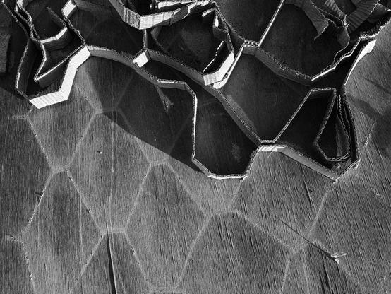 Coiled strip of narrow cardboard resting on plywood board with hexagonal markings.