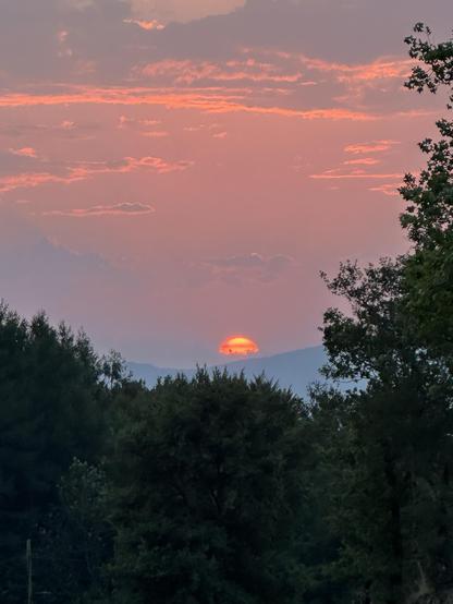 Puesta de sol en las montañas. Sol intensamente naranja tras las colinas del fondo. Copas de árboles en primera línea y una conífera a la derecha. Cielo de nubes azul naranjas.