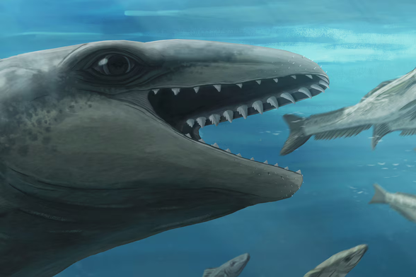 "Ancient whale with Pokémon-like face, killer bite discovered by scientists"
