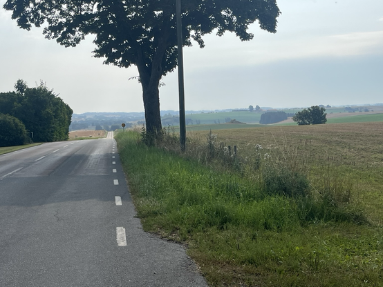 Image viewing parts of fyledalen from Högestad