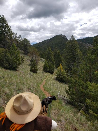 Ranger Sarah and BARK Ranger Mocha start their descent on the Greer Gulch Loop Trail.
— at Lewis & Clark Caverns State Park.
