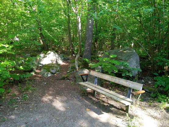 A wooden bench. The worn and sandy patch on the ground in front of it tells that it is very frequently used. Behind the bench green trees, bushes and saplings - mostly hazel - and a couple of boulders. Patches of sun falling through the greenery. 