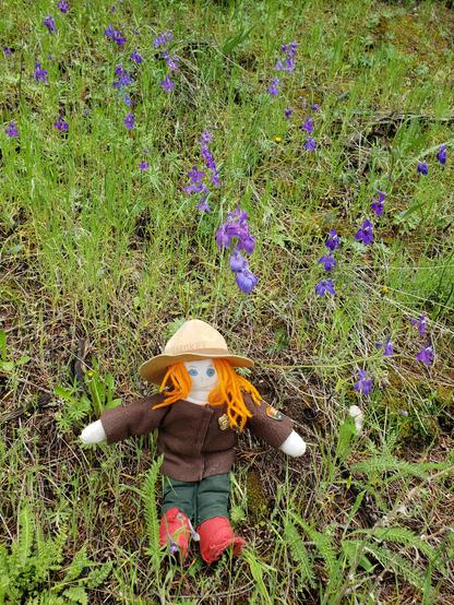 Ranger Sarah with some Low Larkspur (Delphinium nuttallianum)
— at Lewis & Clark Caverns State Park.
