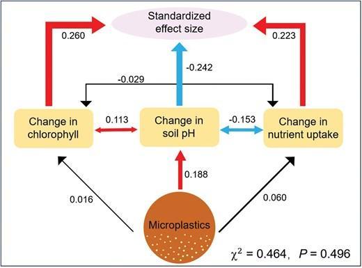 Structural equation modeling examining how microplastics influenced plant growth through leaf chlorophyll, soil pH and nutrient uptake by roots.