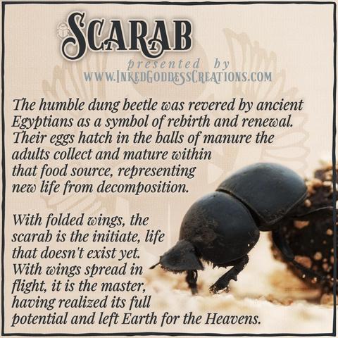 A dark dung beetle with three distinct body sections is in the bottom right of the image. It has its front two feet on the sandy ground, standing at an angle with its head pointed down. Its back four legs are touching a dark ball of dung with sand and small rocks stuck to it. The text outlines some trivia about scarab beetles, their symbolism, and ways you can use their energy in your magickal practice. Presented by Inked Goddess Creations.