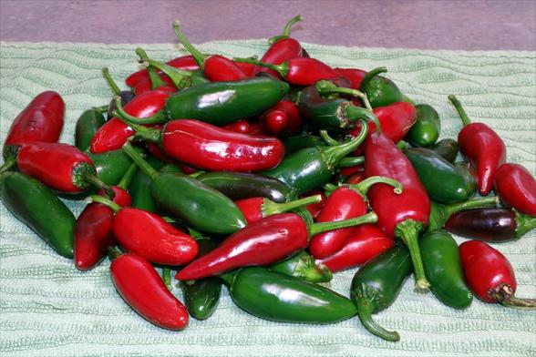 A colorful pile of green and red jalapeno peppers.