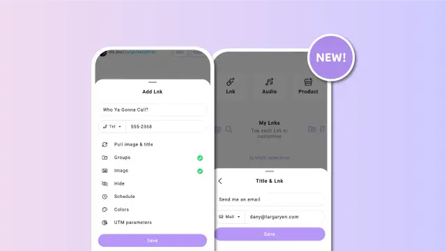 Screenshots from the Lnk.Bio interface showing the new feature in action