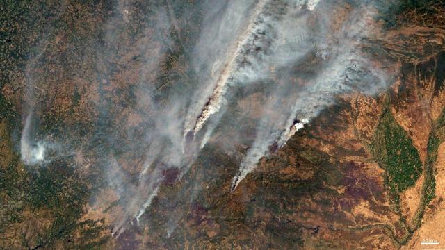 Incendio forestal