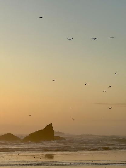 A serene beach scene at sunset, featuring silhouetted rock formations and a flock of birds flying above the calm ocean waters. The sky displays soft pastel colors as the day transitions to evening.