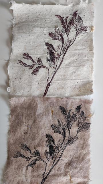 #print #kozo #abaca #handmadepaper