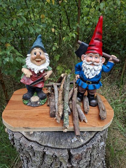 Walking in the Netherlands