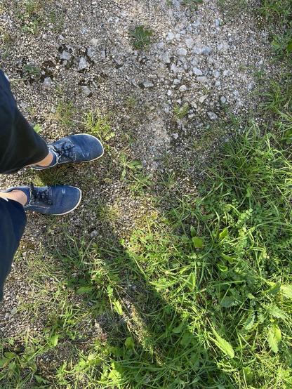 Füße in blauen Sneakern auf Schotterweg an Gras