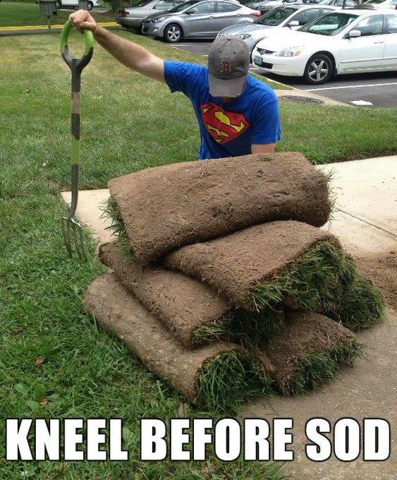 a person wearing a Superman t-shirt kneeling to some rolls of grass, captioned KNEEL BEFORE SOD