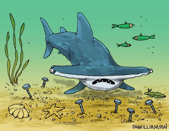 Hammerhead shark among nails embedded in sea floor. 