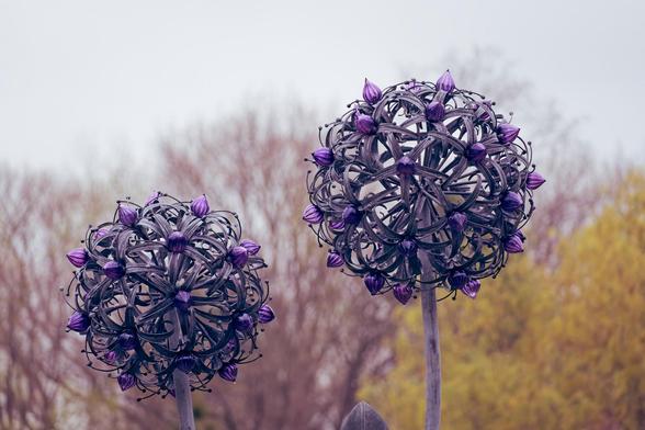Two globes made of curved metal segments dotted with purple glass bulbs,  to the bottom left there is a forsythia tree or something intensely yellow while the rest of the field has naked trees under a grey sky