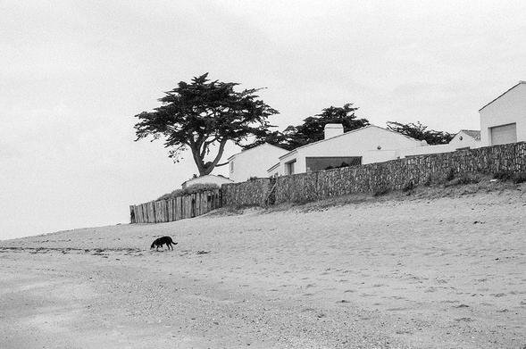 plage en noir et blanc
