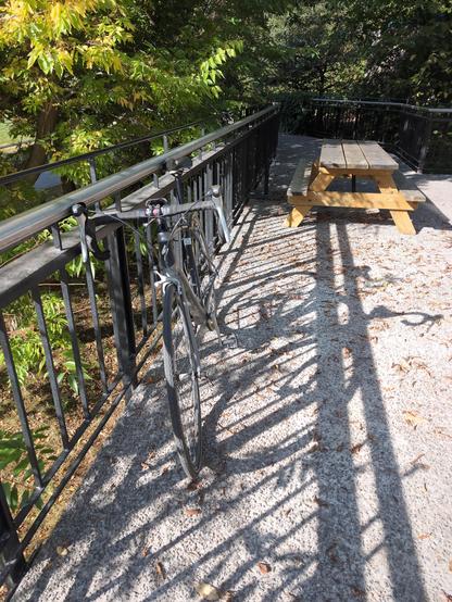 Vélo avec des feuilles mortes dû à l'automne qui vient ou à la sécheresse qui se termine