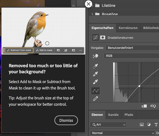 A screenshot of a popup showing a tip about how to add or remove background with a “smart” AI brush feature.