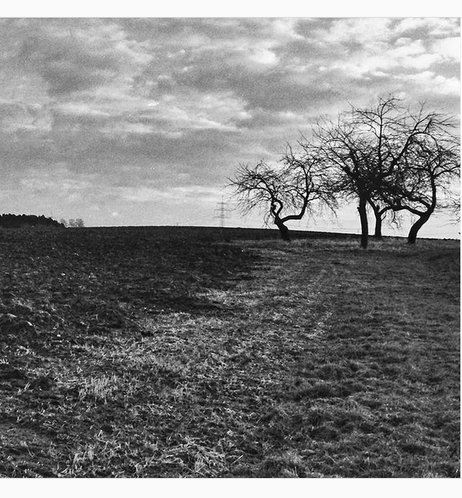 Eine Hochebene im Spätherbst oder Winter. Unter einem Himmel mit beleuchteten Wolken stehen vier kahle, krummen Obstbäume am Rand eines gepflügten Ackers. Links am Horizont ist ein Wald als dunkler Streifen zu erahnen, weit hinten steht ein Hochspannungsmast. Das Foto ist in Schwarzweiß