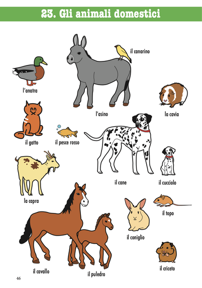 Thema 23 uit het Dizionario illustrato di italiano: gli animali domestici.