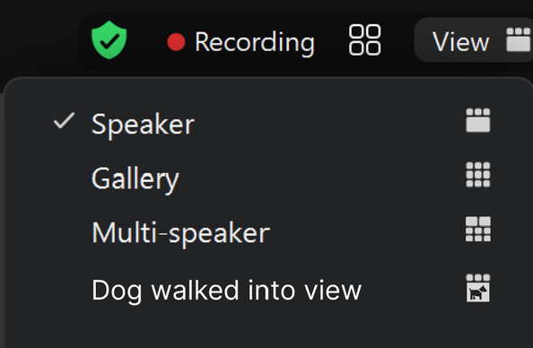Zoom video view settings: Speaker, Gallery, Multi Speaker, dog walked into view.