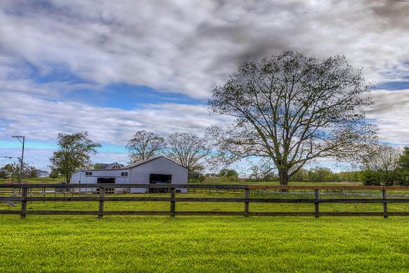 A peaceful rural scene features a white barn surrounded by a wooden fence and lush green grass.