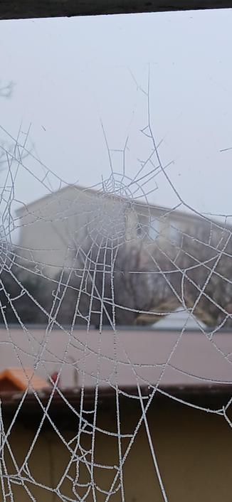 Toile d'araignée gelée en zone urbaine
