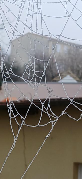 Toile d'araignée gelée en zone urbaine