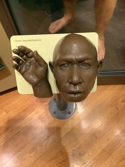 #Neanderthals (/niˈændərˌtɑːl, neɪ-, -ˌθɑːl/ nee-AN-də(r)-TAHL, nay-, -⁠THAHL;[8] Homo neanderthalensis or sometimes H. sapiens neanderthalensis) are an extinct group of archaic humans who inhabited Europe and Western and Central Asia