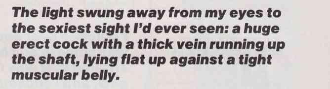 a magazine scan that reads, "The light swung away from my eyes to
the sexiest sight I'd ever seen: a huge
erect cock with a thick vein running up
the shaft, lying flat up against a tight
muscular belly."