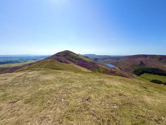 Peak of the “rollercoaster” near Flotterstone, purple heather around the edges, Glencourse reservoir below